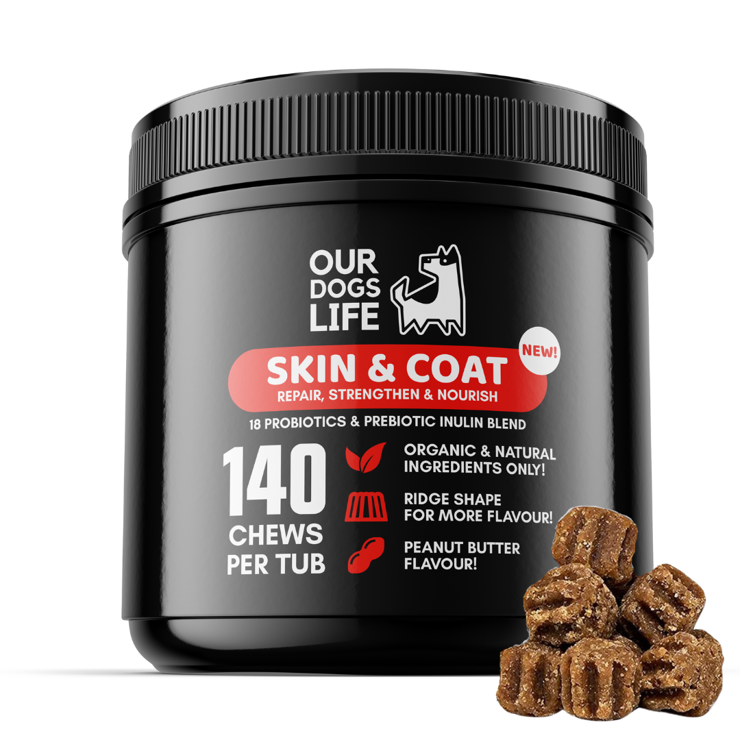 Best dog coat supplement hotsell