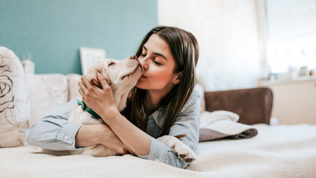 10 Essential Tips for a Healthy and Happy Dog