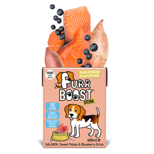 Furr Boost Dog Drink - Salmon, Sweet Potato and Blueberry, Carton, 400ml