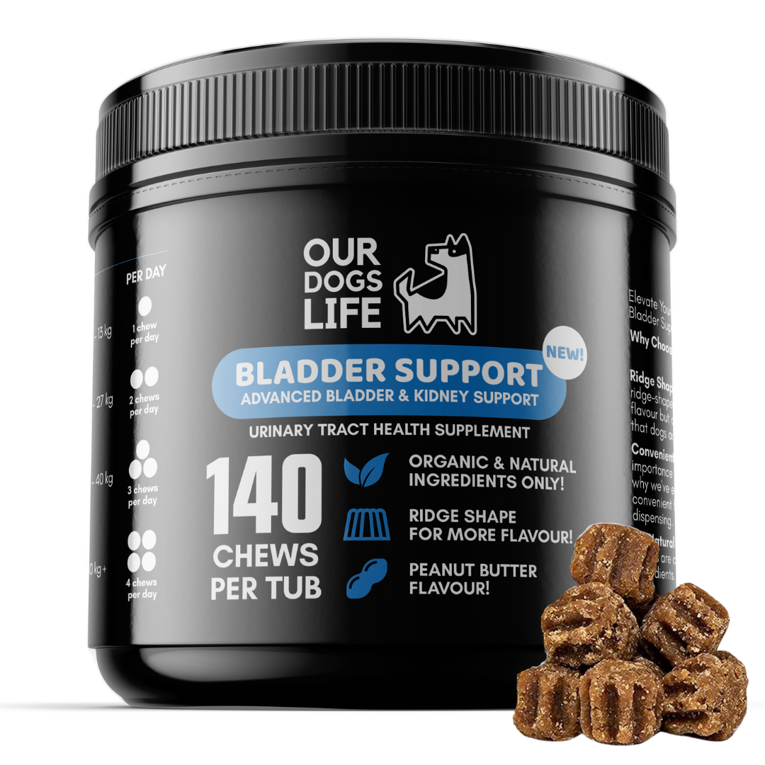 Bladder Support Supplements for Dogs