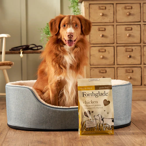 Chicken Cold-Pressed Natural Grain Free Dry Dog Food