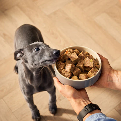 Puppy Chicken with Liver & Vegetables Wet Dog Food