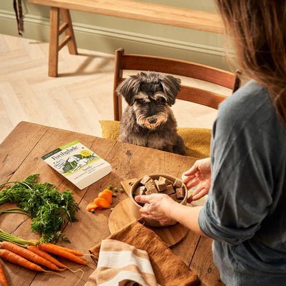 Senior Lamb with Butternut Squash & Vegetables Wet Dog Food