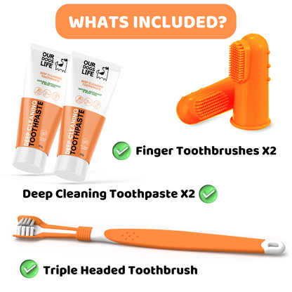 Dog Toothpaste and Toothbrush Set