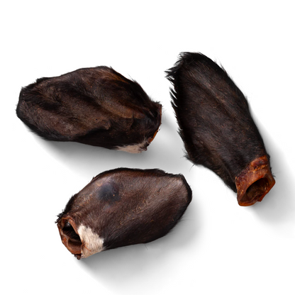 NAW Hairy Beef Ears for Dogs (6PK)