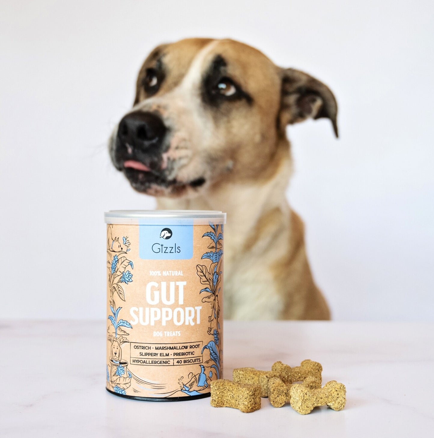 Gizzls Botanicals Gut Support Dog Biscuits (40 treats)