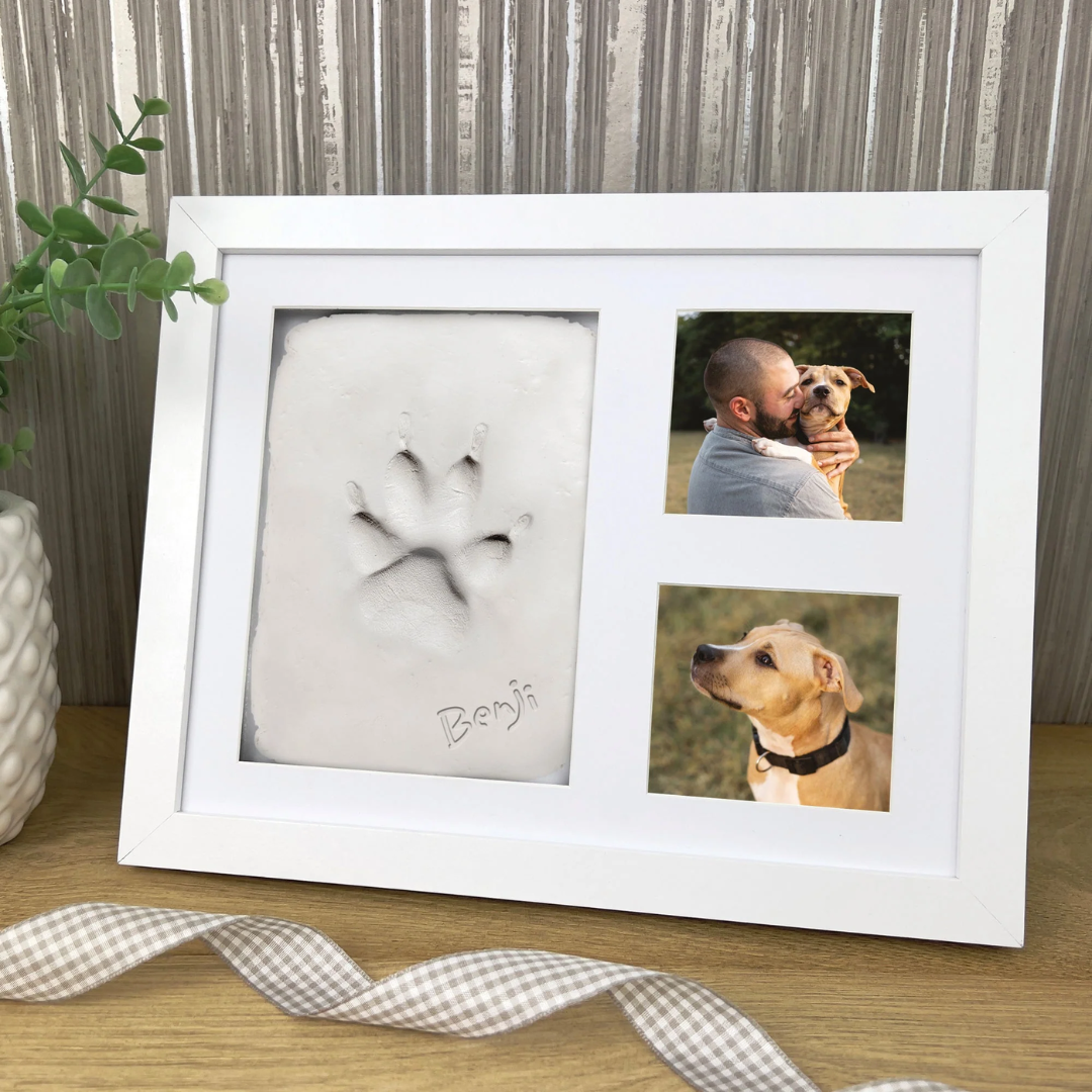 Pet Keepsake Bundle