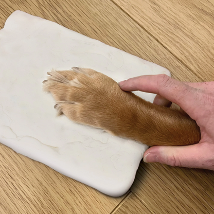 Paw Print Clay Mould & Photo Frame Kit