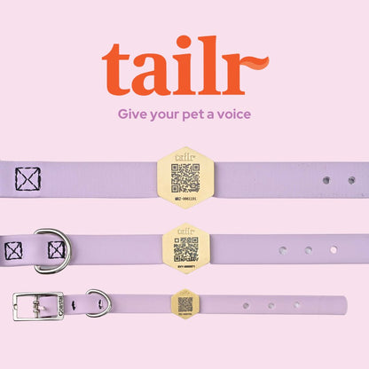 Tailr Small Classic Tag