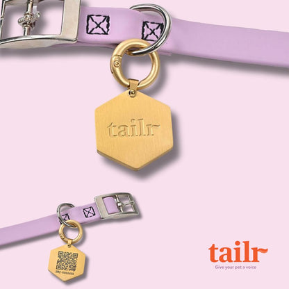 Tailr Small Classic Tag