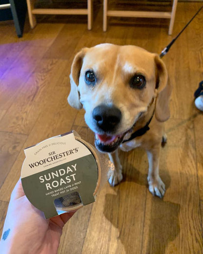 Sir Woofchester's Treat Pot Bundle