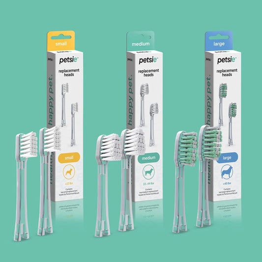 Petsie Toothbrush Replacement Head