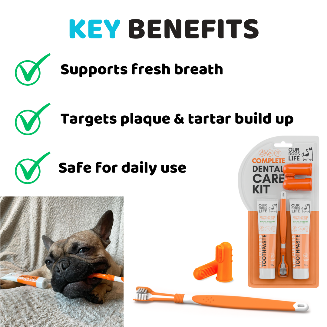 Dog Toothpaste and Toothbrush Set