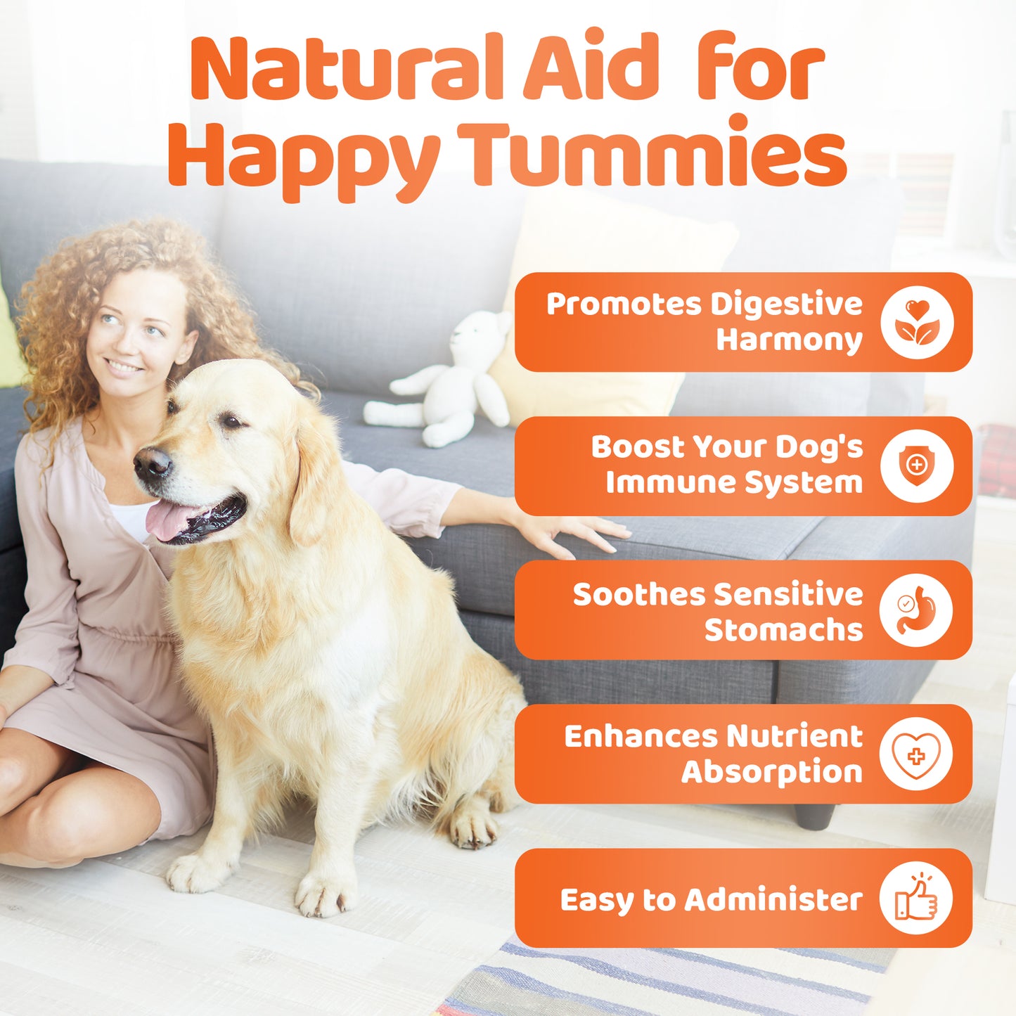 Digestive Supplements for Dogs