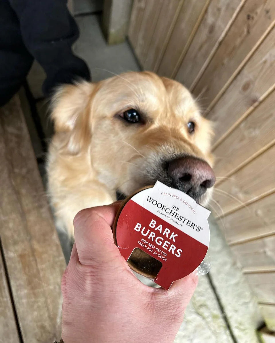 Bark Burgers Treat Pot