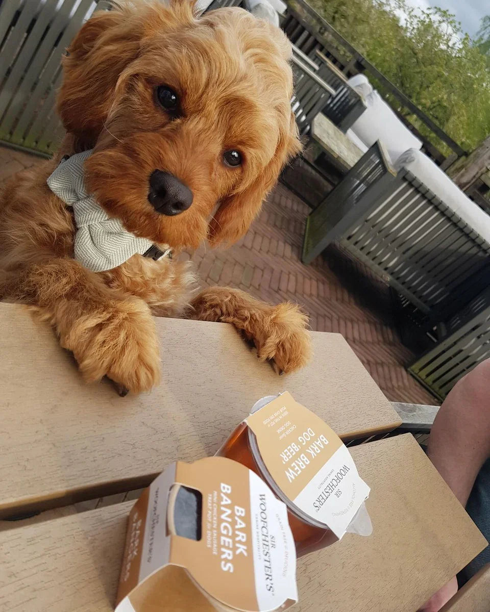 Sir Woofchester's Treat Pot Bundle