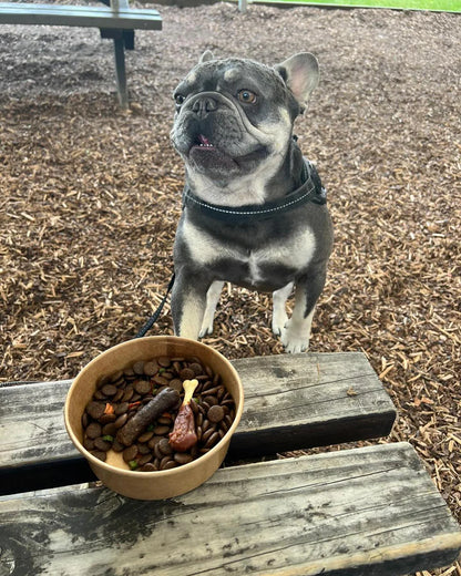 Roast Dinner Dog Bowl