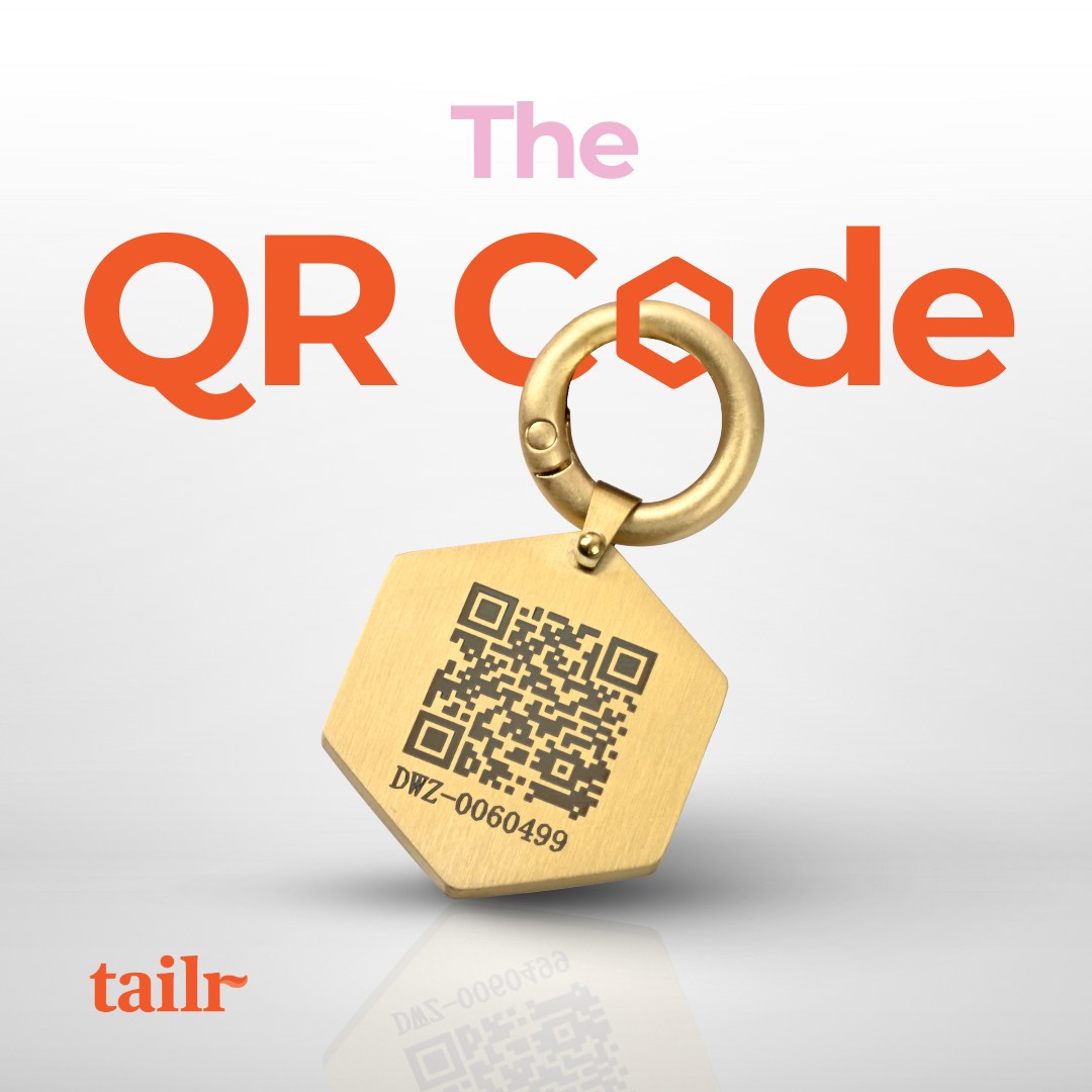 Tailr Small Classic Tag