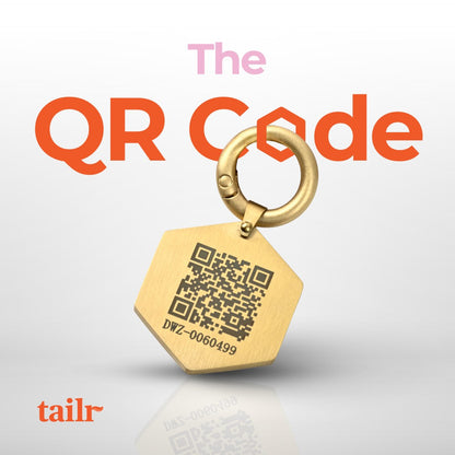 Tailr Small Classic Tag