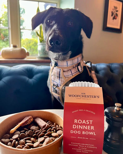 Roast Dinner Dog Bowl