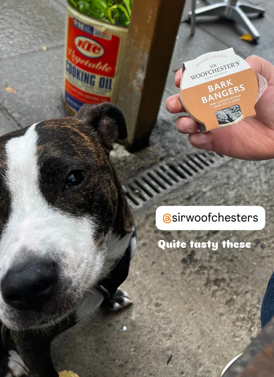 Sir Woofchester's Treat Pot Bundle