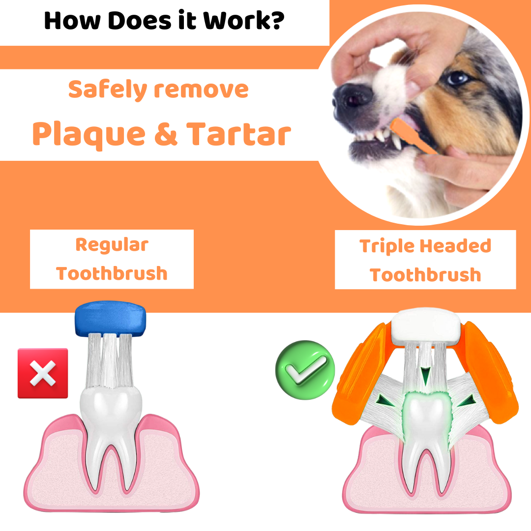 Dog Toothpaste and Toothbrush Set