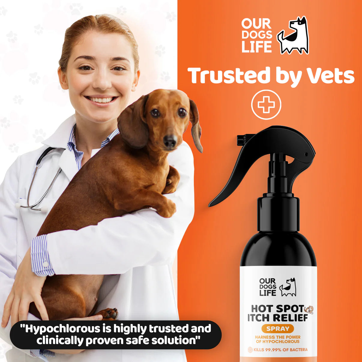 Itch Relief Bundle for Dogs