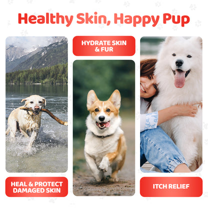 Dog Skin and Coat Supplement