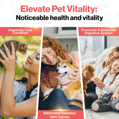 Itch & Allergy Probiotic for Pets