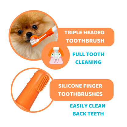 Dog Toothpaste and Toothbrush Set