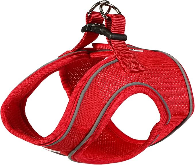 Doodlebone Snappy Harness Ruby