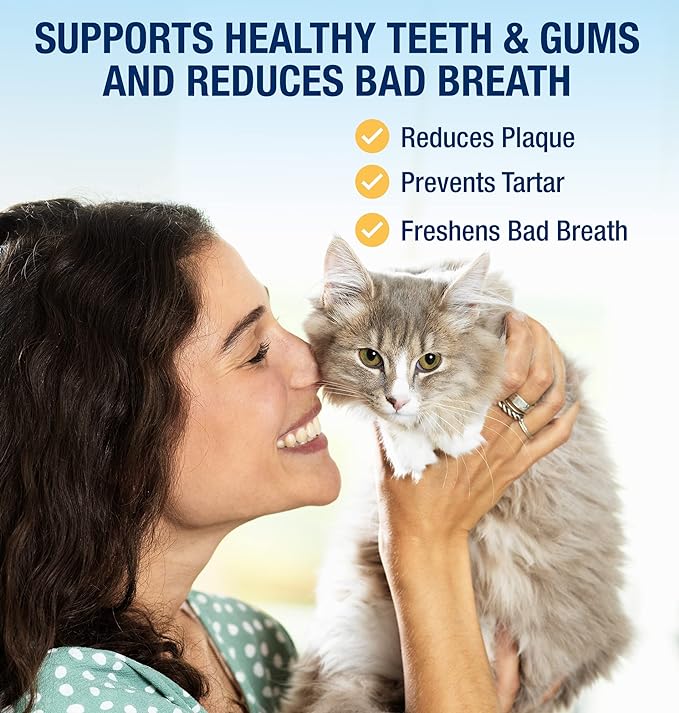 Cat Dental Care Bundle