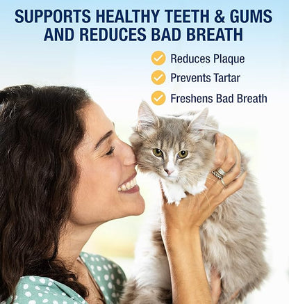 Cat Dental Care Bundle