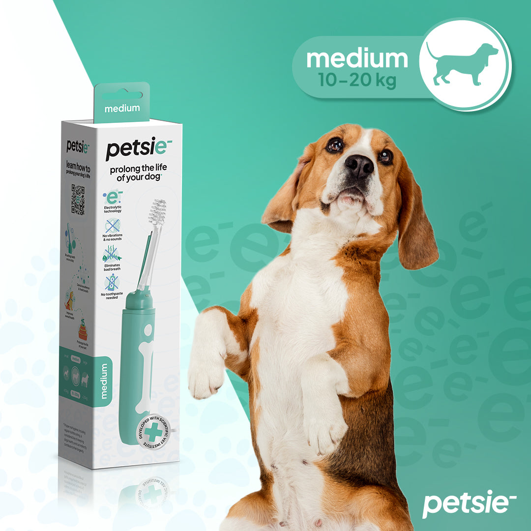 Petsie Revolutionary Dog Toothbrush