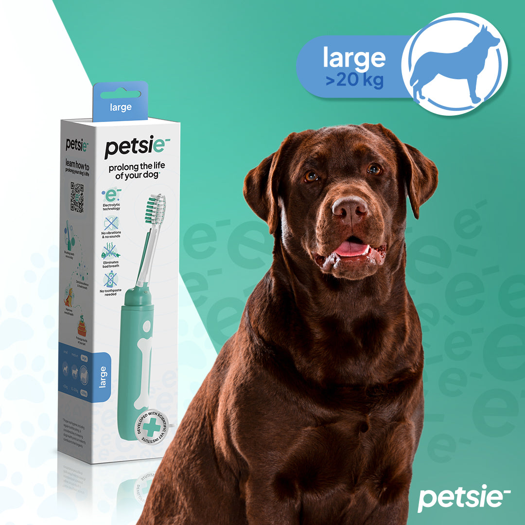 Petsie Revolutionary Dog Toothbrush