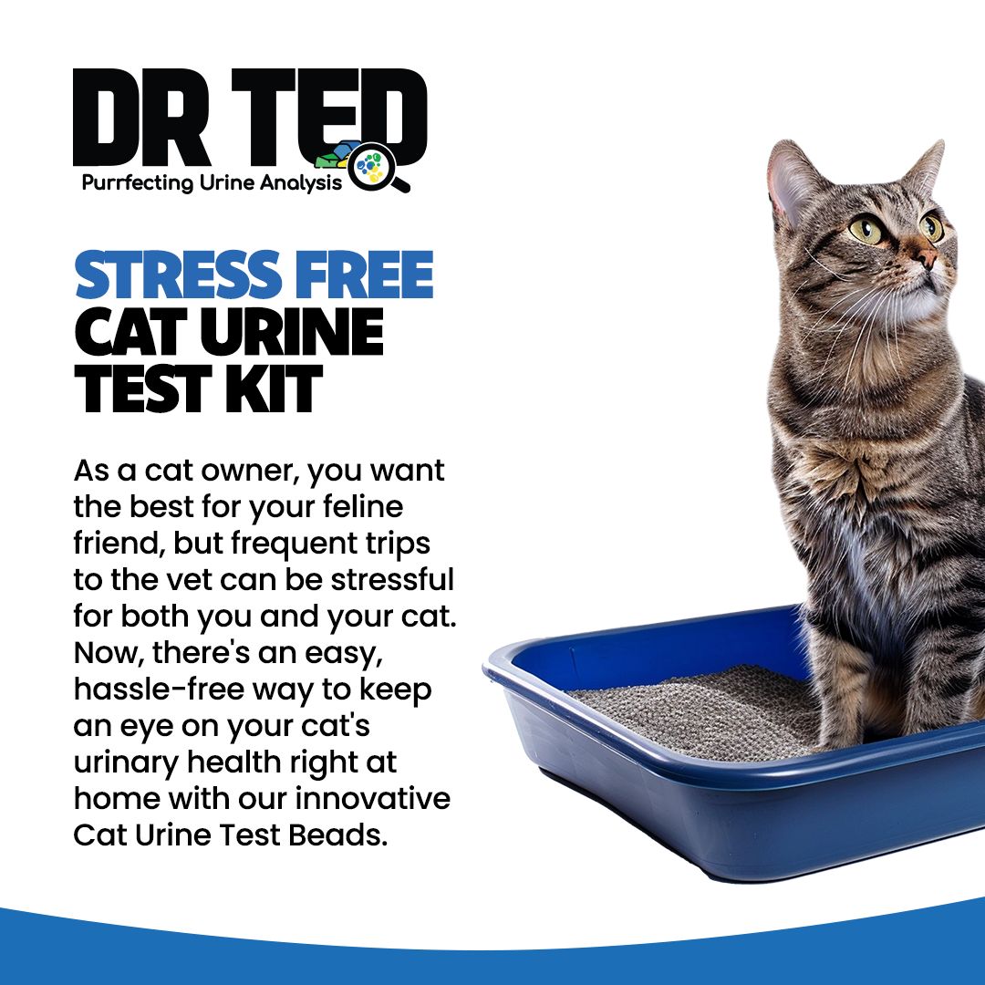 Dr Ted Cat Urine Test Kit Hematuria / Blood Detector