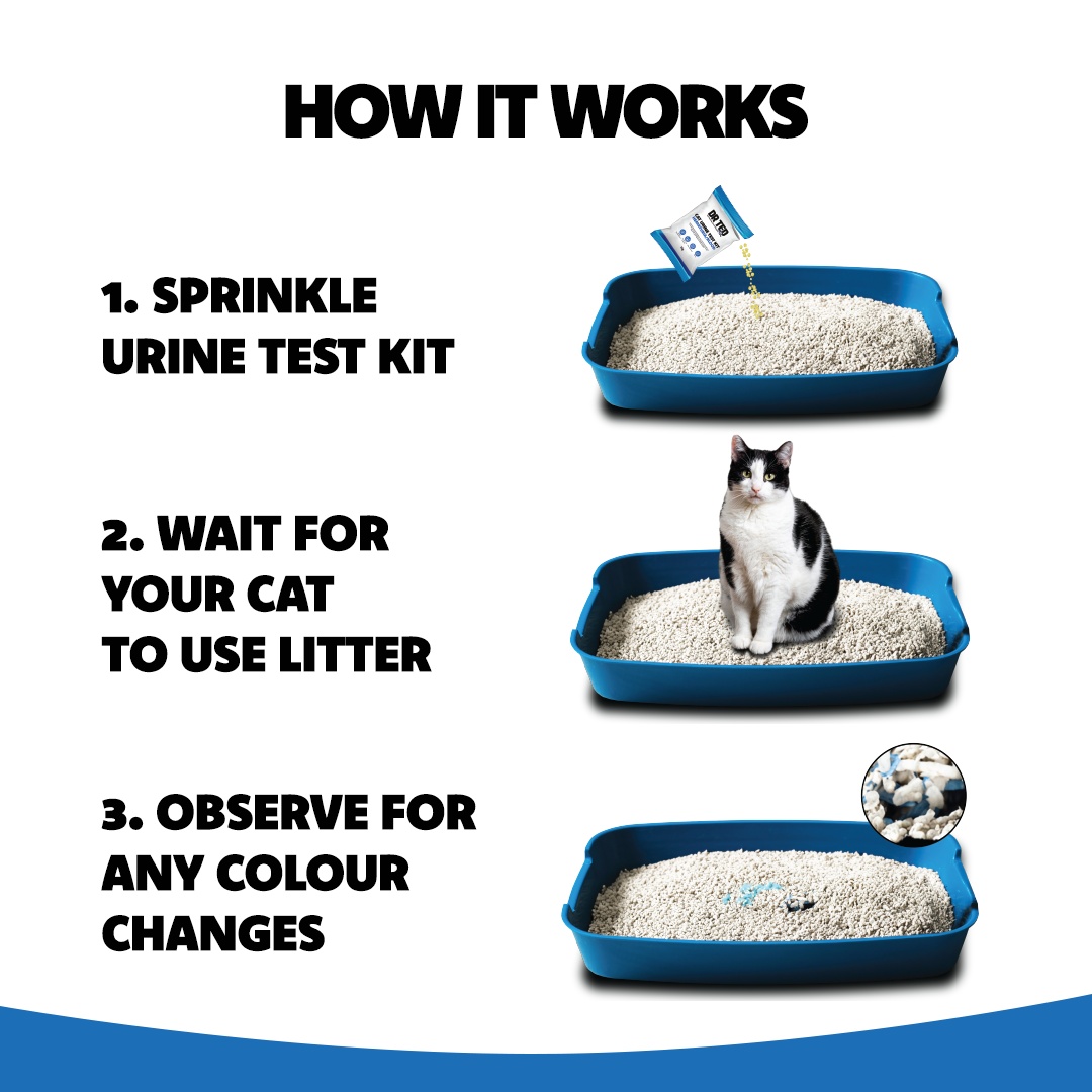 Dr Ted Cat Urine Test Kit Hematuria / Blood Detector