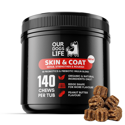 Dog Skin and Coat Supplement