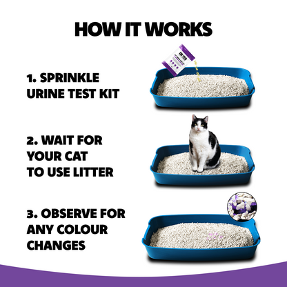 Dr Ted Cat Urine Test Kit Glucose Detector