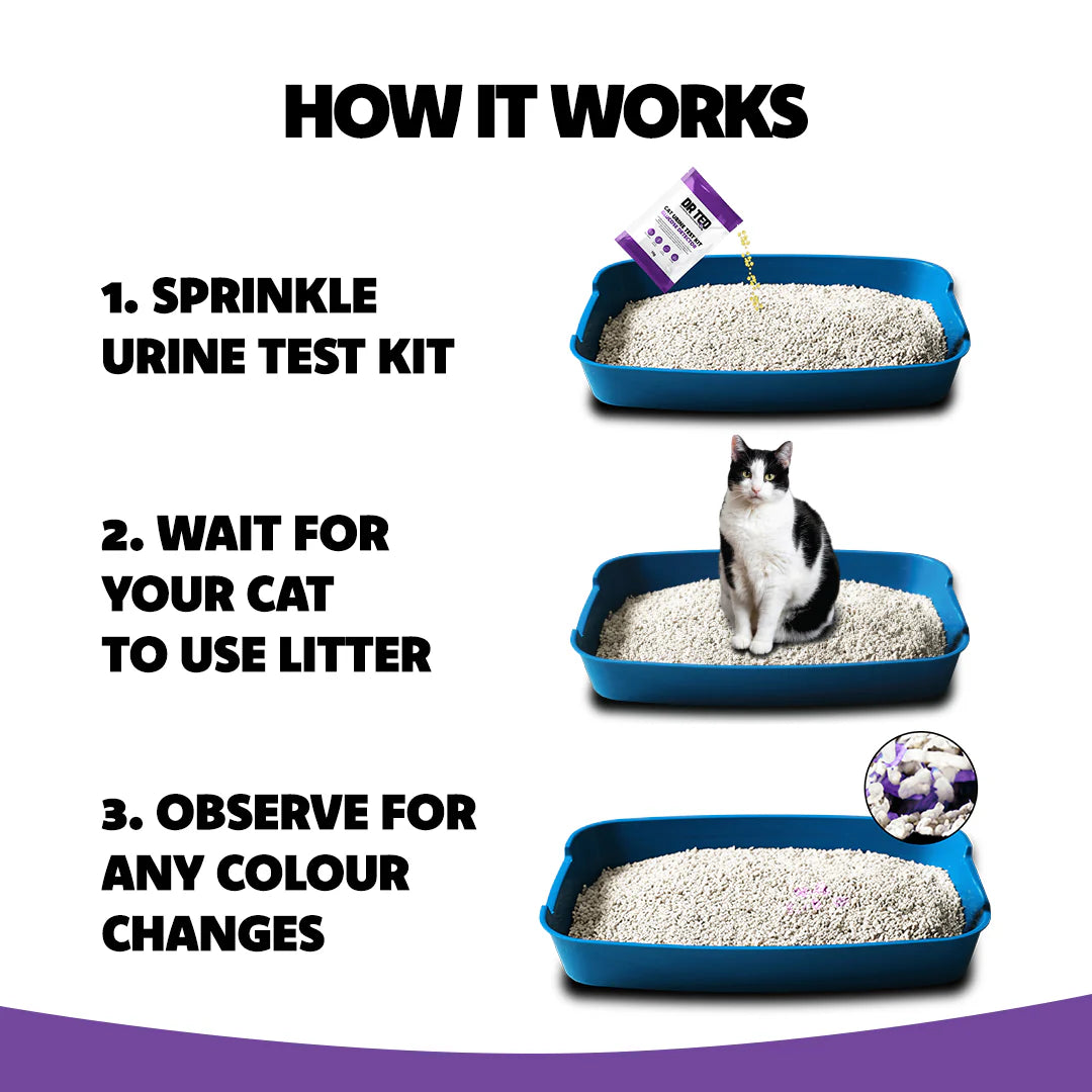 Dr Ted Cat Urine Test Kit Bundle