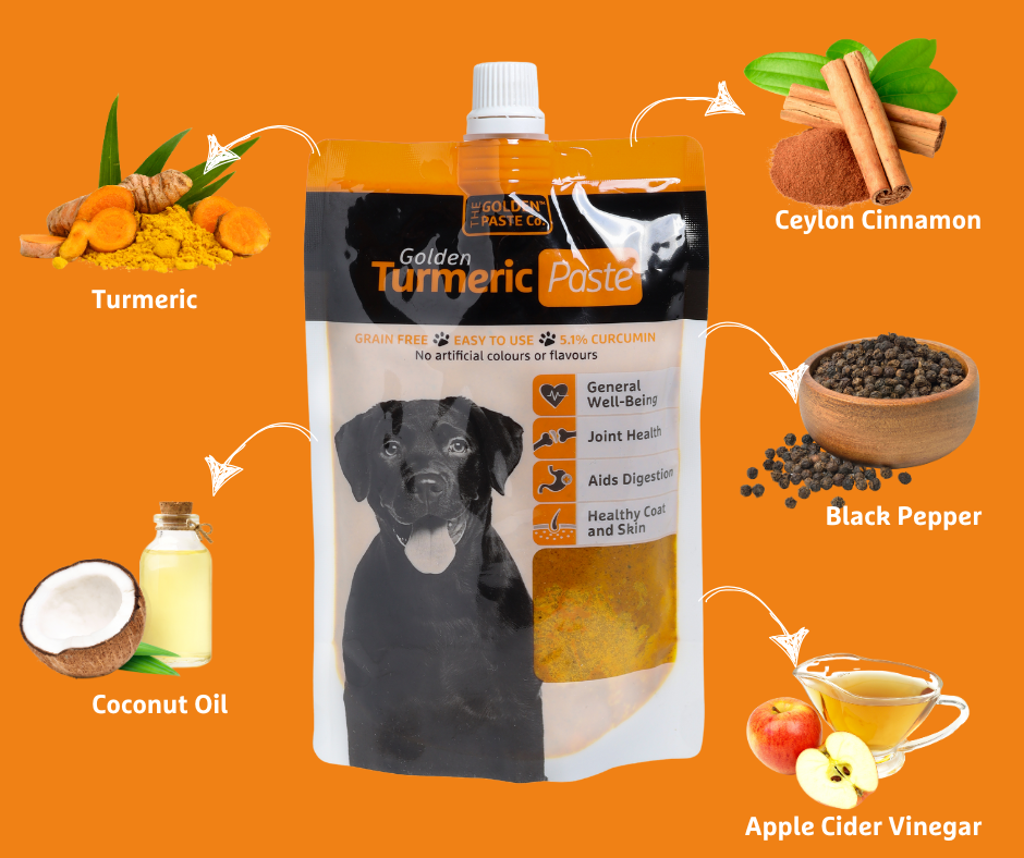 Turmeric Golden Paste for  Dogs