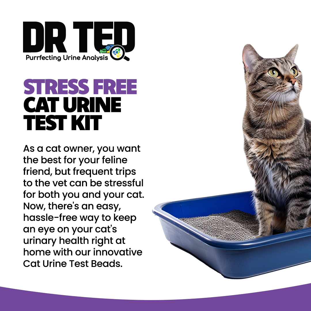 Dr Ted Cat Urine Test Kit Glucose Detector