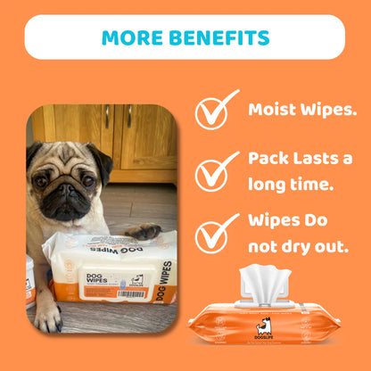 Travel Essentials Kit For Dogs