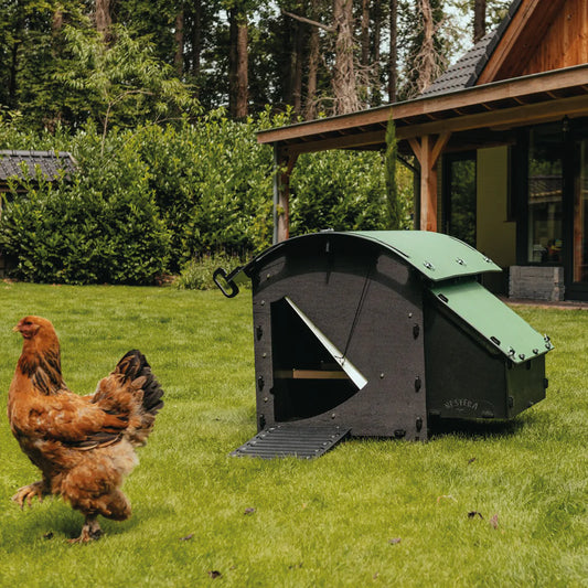 Nestera Chicken House - Medium