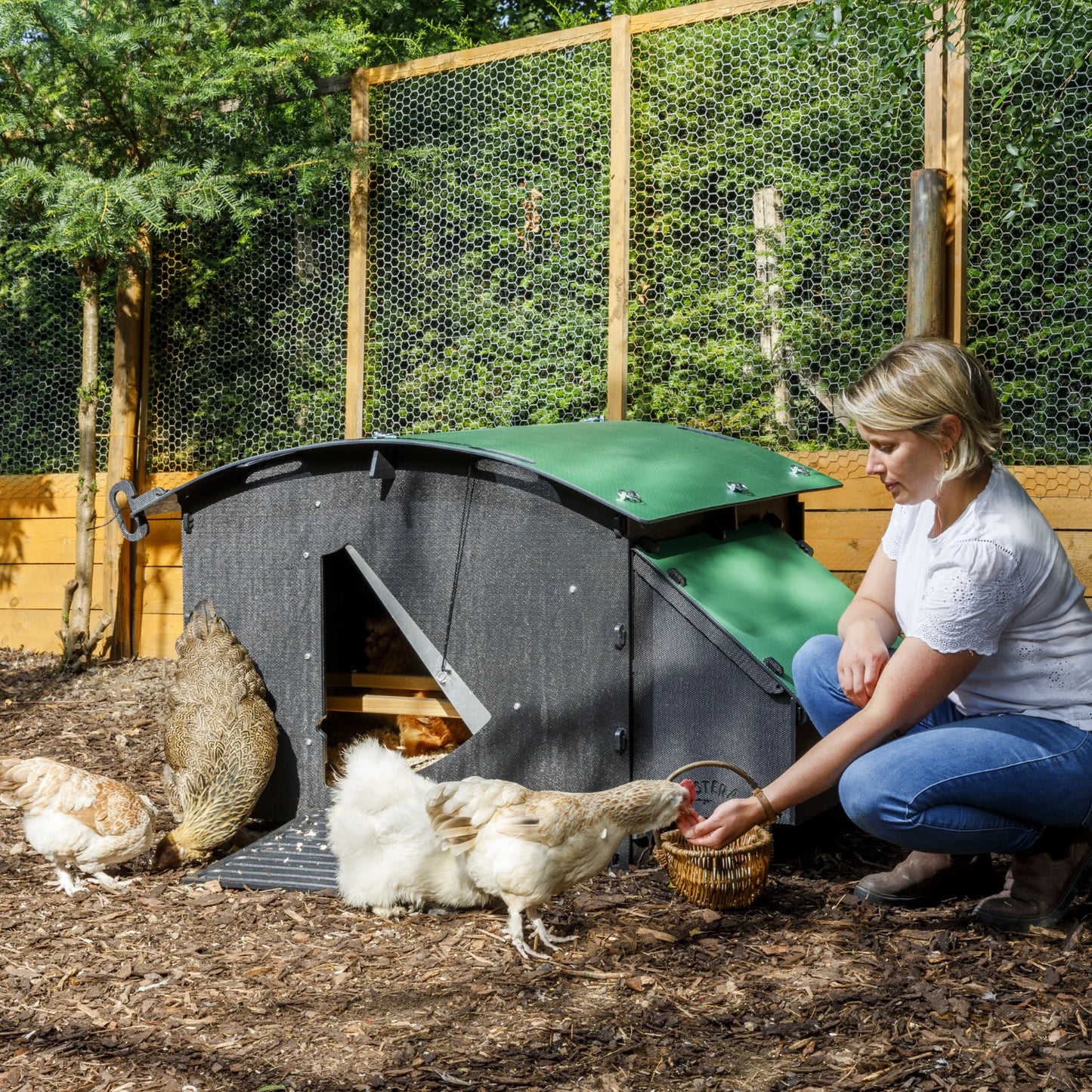 Nestera Chicken House - Large