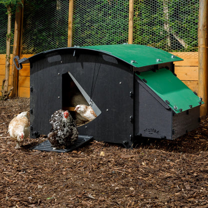 Nestera Chicken House - Large