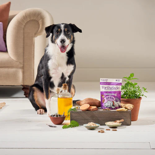 Calming Dog Treats - Camomile & Lavender Soft Bites