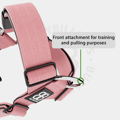 TRI-Harness® | Anti-Pull, Adjustable & Durable - Dog Trainers Choice