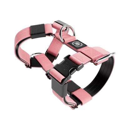 TRI-Harness® | Anti-Pull, Adjustable & Durable - Dog Trainers Choice