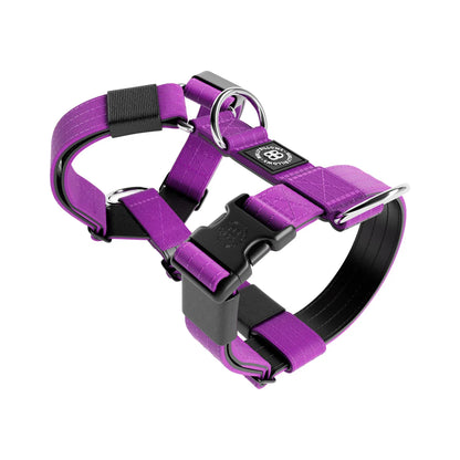 TRI-Harness® | Anti-Pull, Adjustable & Durable - Dog Trainers Choice